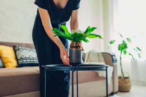 Woman placing vase with flowers on table